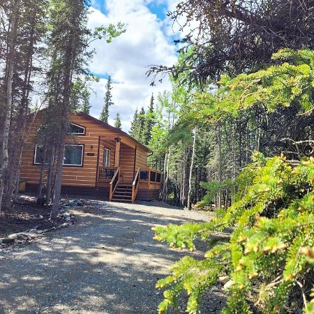 Denali Wild Stay - Moose Cabin, Free Wifi, 2 Private Bedrooms, Sleep 6 힐리 외부 사진