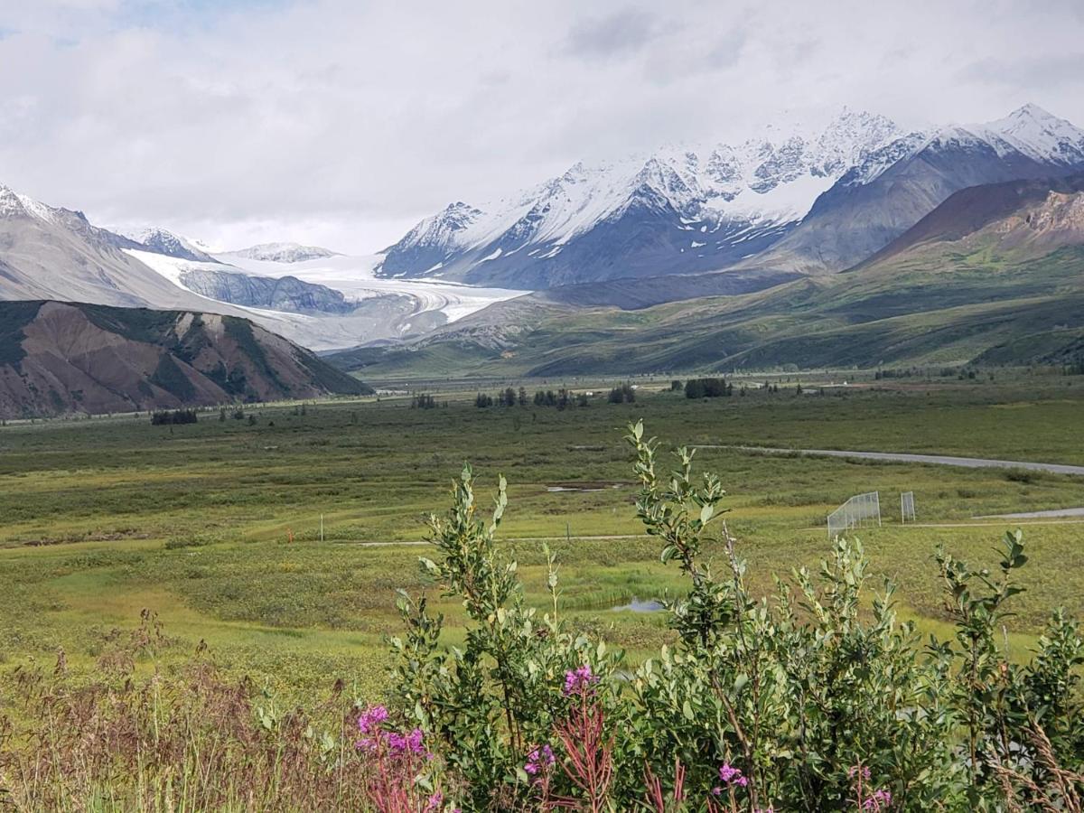 Denali Wild Stay - Moose Cabin, Free Wifi, 2 Private Bedrooms, Sleep 6 힐리 외부 사진