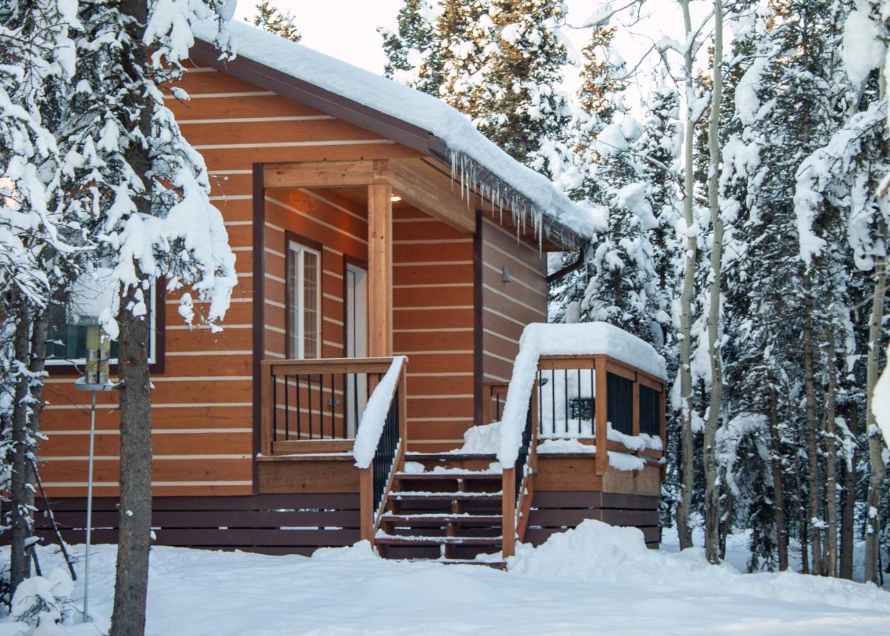 Denali Wild Stay - Moose Cabin, Free Wifi, 2 Private Bedrooms, Sleep 6 힐리 외부 사진