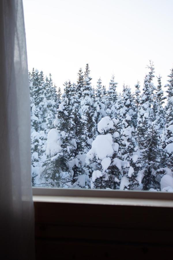 Denali Wild Stay - Moose Cabin, Free Wifi, 2 Private Bedrooms, Sleep 6 힐리 외부 사진